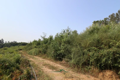 Terreno para Venda em Vila de Cucujães