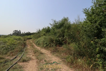 Terreno para Venda em Vila de Cucujães