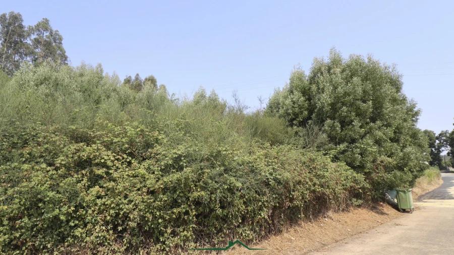 Terreno para Venda em Vila de Cucujães