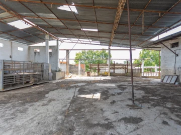 Quinta T4 para Venda em Brogueira, Parceiros de Igreja e Alcorochel