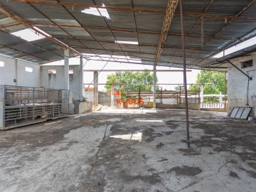 Quinta T4 para Venda em Brogueira, Parceiros de Igreja e Alcorochel