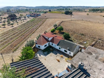 Quinta T4 para Venda em Brogueira, Parceiros de Igreja e Alcorochel