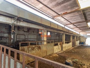 Quinta T4 para Venda em Brogueira, Parceiros de Igreja e Alcorochel