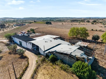 Quinta T4 para Venda em Brogueira, Parceiros de Igreja e Alcorochel
