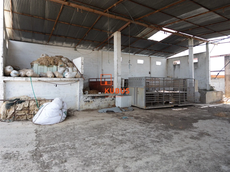 Quinta T4 para Venda em Brogueira, Parceiros de Igreja e Alcorochel Foto 11