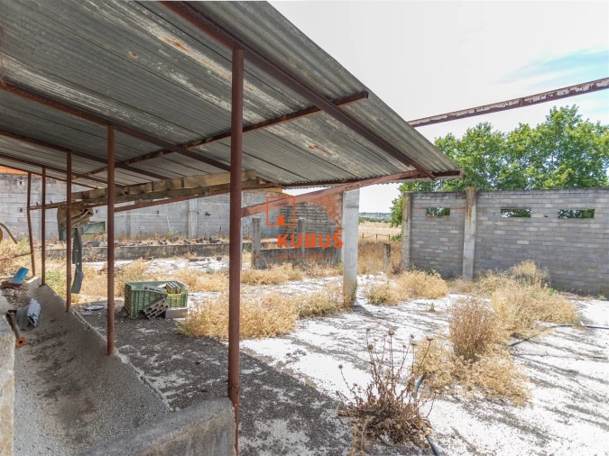 Quinta T4 para Venda em Brogueira, Parceiros de Igreja e Alcorochel Foto 4
