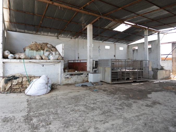 Quinta T4 para Venda em Brogueira, Parceiros de Igreja e Alcorochel Foto 61