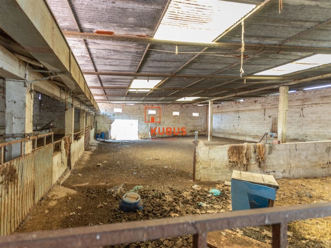 Quinta T4 para Venda em Brogueira, Parceiros de Igreja e Alcorochel Foto 20