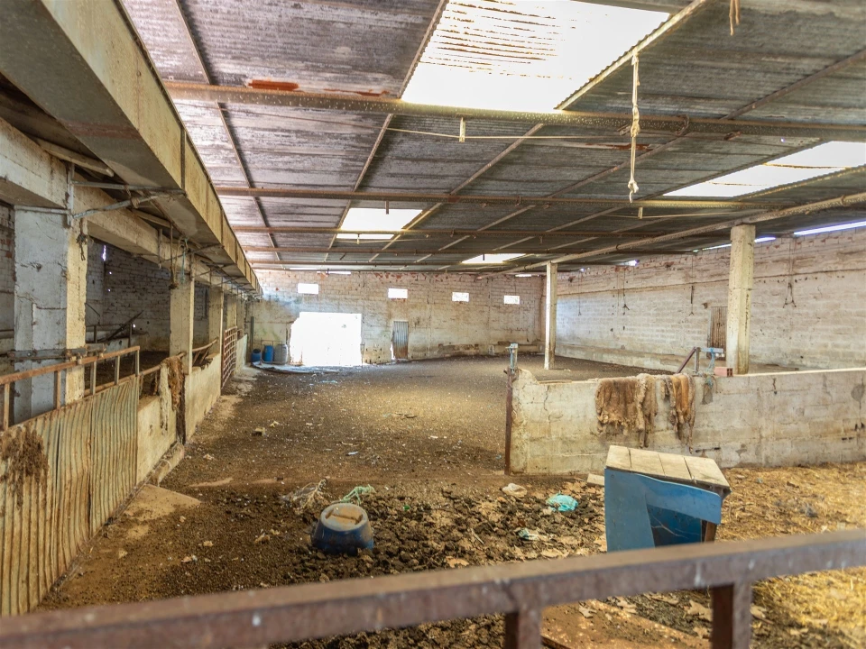 Quinta T4 para Venda em Brogueira, Parceiros de Igreja e Alcorochel Foto 70