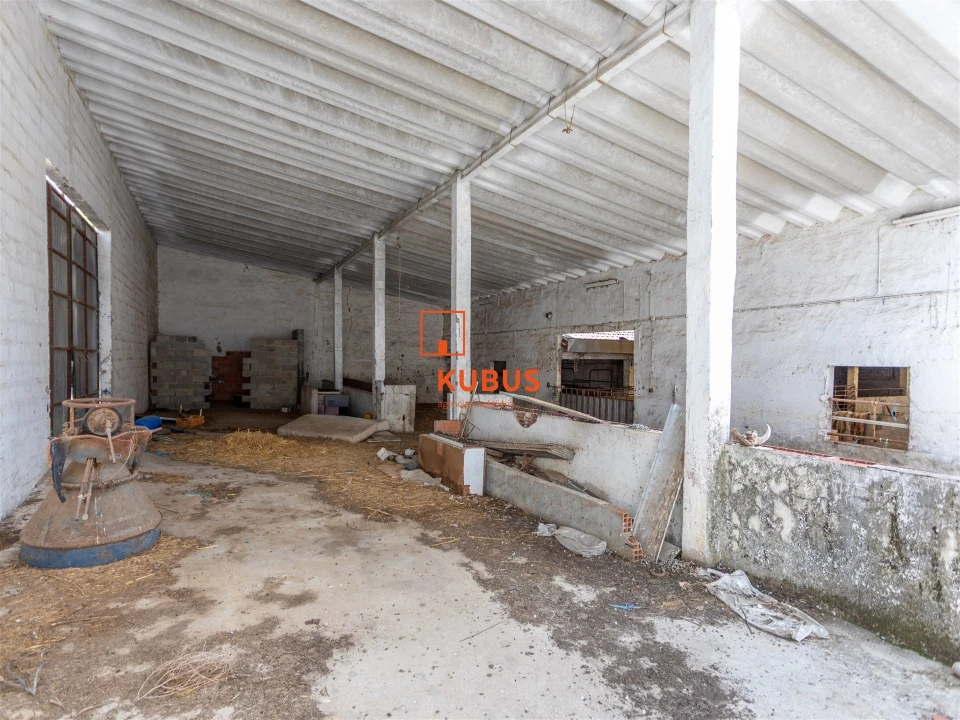 Quinta T4 para Venda em Brogueira, Parceiros de Igreja e Alcorochel Foto 21