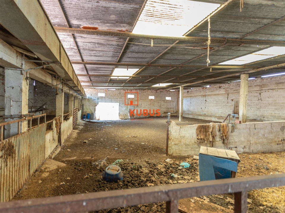 Quinta T4 para Venda em Brogueira, Parceiros de Igreja e Alcorochel Foto 20
