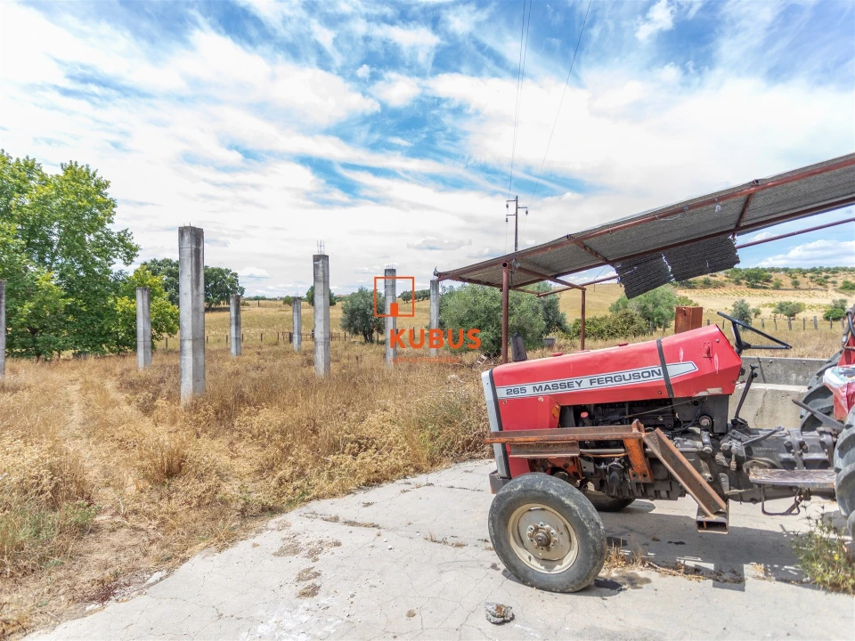 Quinta T4 para Venda em Brogueira, Parceiros de Igreja e Alcorochel Foto 9