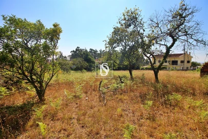 Terreno para Venda em Póvoa de Varzim, Beiriz e Argivai