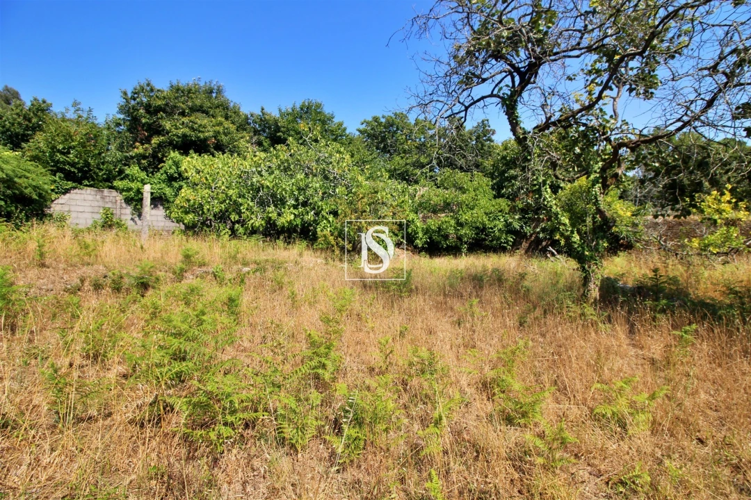Terreno para Venda em Póvoa de Varzim, Beiriz e Argivai Foto 10