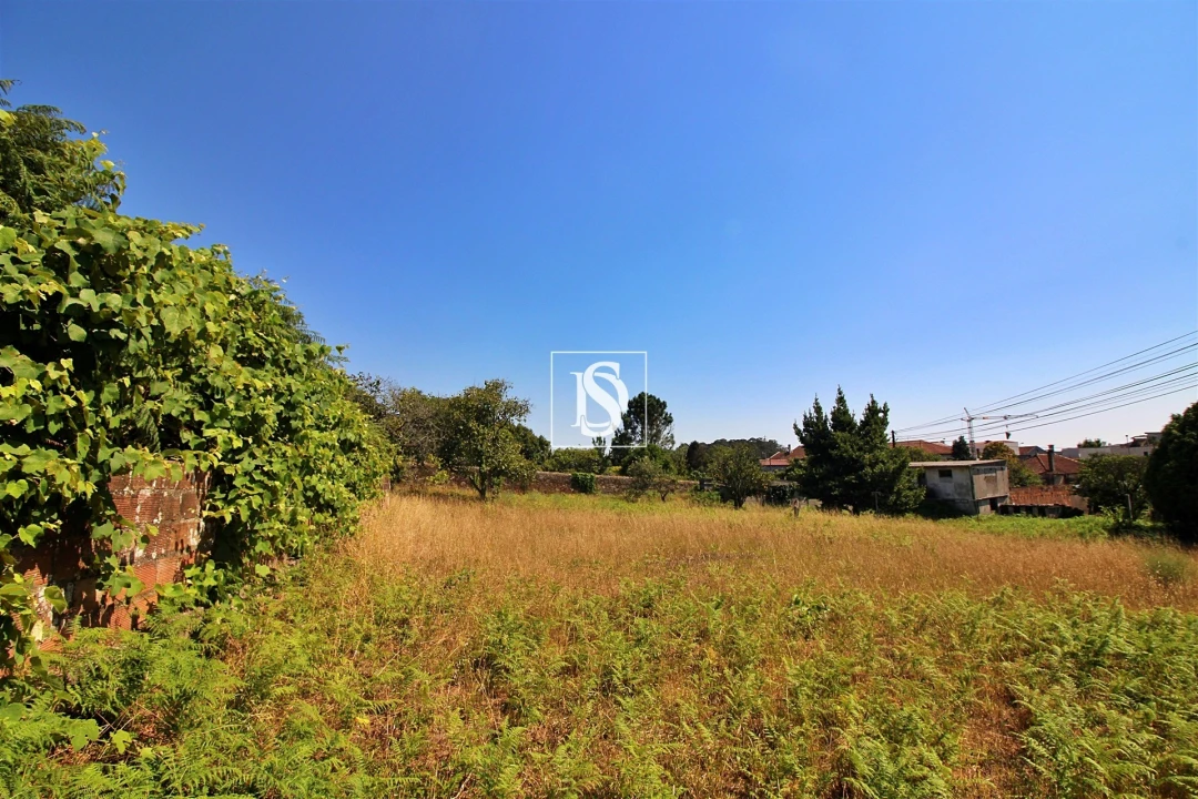 Terreno para Venda em Póvoa de Varzim, Beiriz e Argivai Foto 2