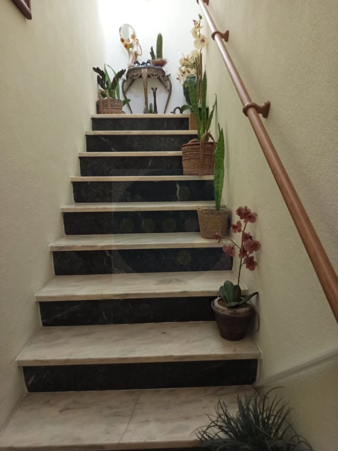 Apartamento T2 para Venda em Abrantes (São Vicente e São João) e Alferrarede Foto 4