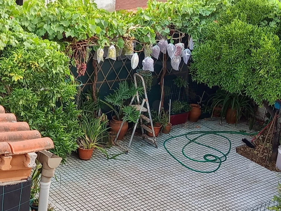 Apartamento T2 para Venda em Abrantes (São Vicente e São João) e Alferrarede Foto 17