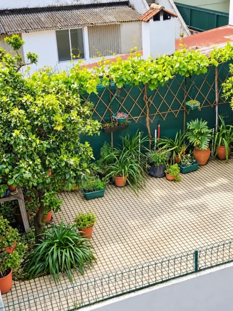 Apartamento T2 para Venda em Abrantes (São Vicente e São João) e Alferrarede
