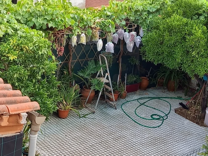 Apartamento T2 para Venda em Abrantes (São Vicente e São João) e Alferrarede Foto 17