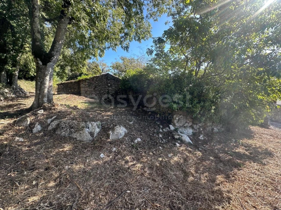 Terreno para Venda em Alvados e Alcaria Foto 5