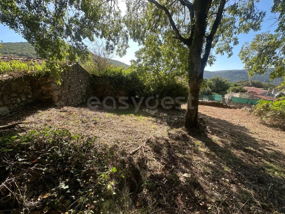 Terreno para Venda em Alvados e Alcaria Foto 6