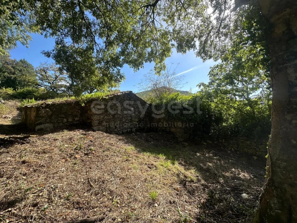 Terreno para Venda em Alvados e Alcaria Foto 7