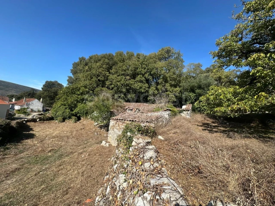 Terreno para Venda em Alvados e Alcaria Foto 10