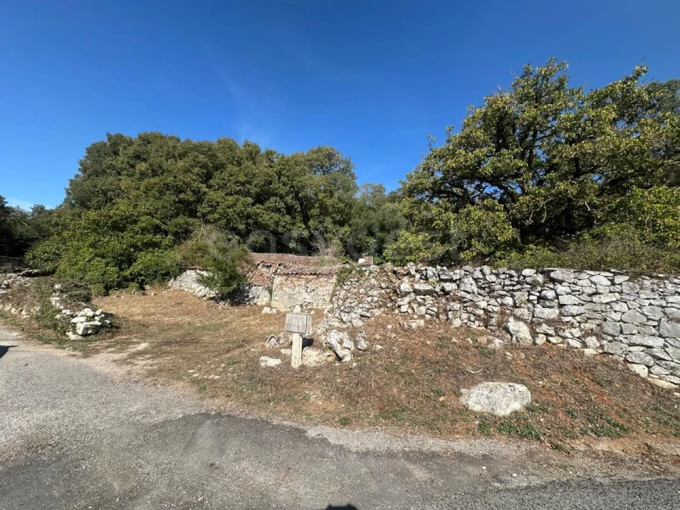 Terreno para Venda em Alvados e Alcaria Foto 11