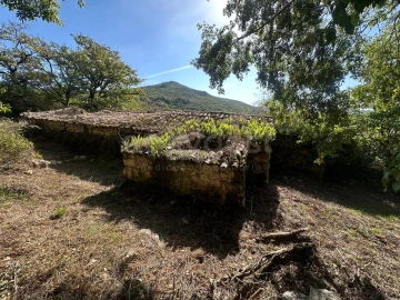 Terreno para Venda em Alvados e Alcaria