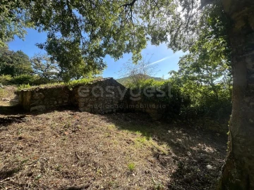 Terreno para Venda em Alvados e Alcaria