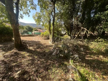 Terreno para Venda em Alvados e Alcaria