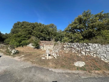 Terreno para Venda em Alvados e Alcaria
