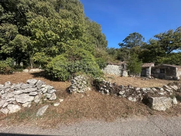 Terreno para Venda em Alvados e Alcaria