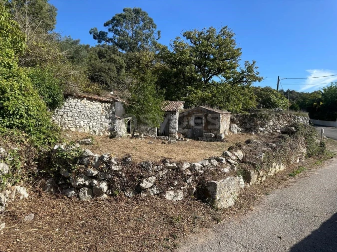 Terreno para Venda em Alvados e Alcaria Foto 2