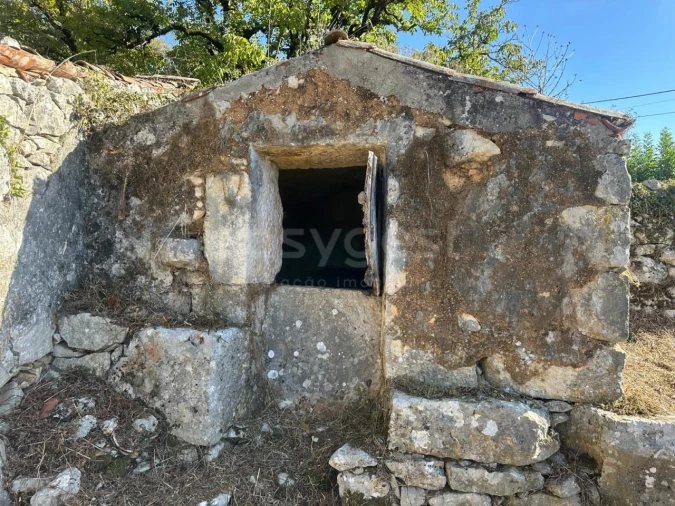 Terreno para Venda em Alvados e Alcaria Foto 3