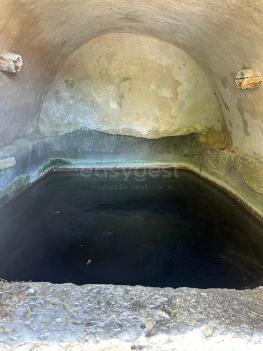Terreno para Venda em Alvados e Alcaria Foto 4