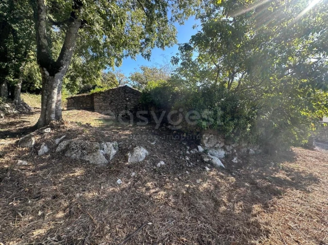 Terreno para Venda em Alvados e Alcaria Foto 5