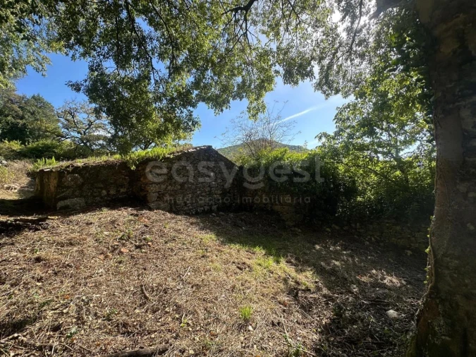 Terreno para Venda em Alvados e Alcaria Foto 7