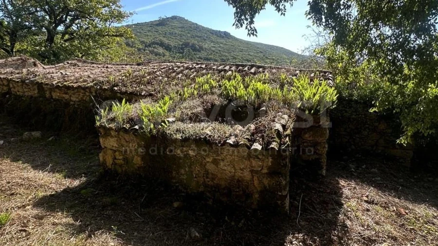 Terreno para Venda em Alvados e Alcaria