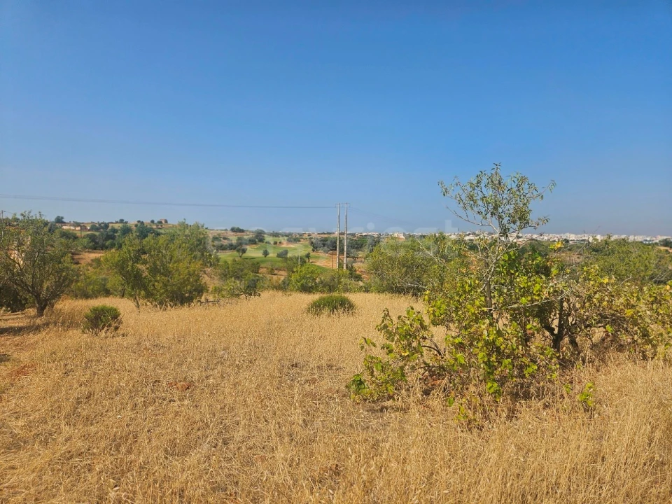 Terreno Agricola ou Rústico para Venda em Estômbar e Parchal Foto 1