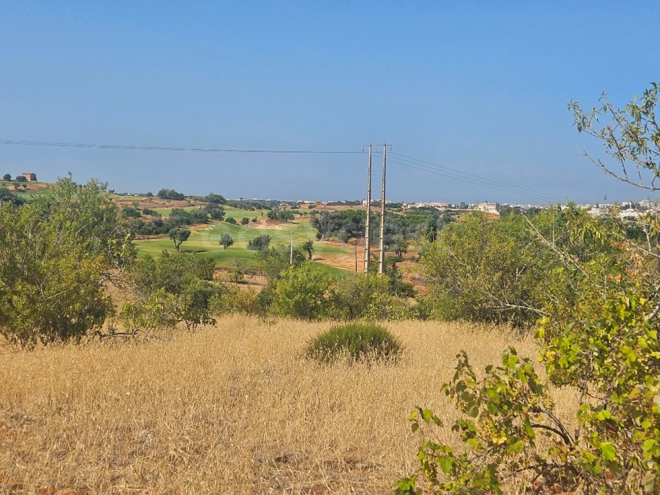 Terreno Agricola ou Rústico para Venda em Estômbar e Parchal Foto 3