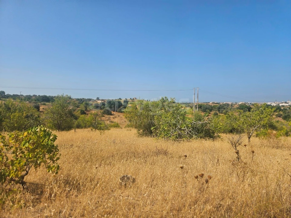 Terreno Agricola ou Rústico para Venda em Estômbar e Parchal Foto 4