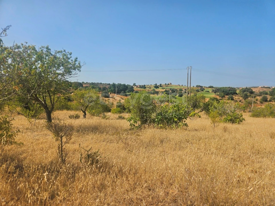 Terreno Agricola ou Rústico para Venda em Estômbar e Parchal Foto 5