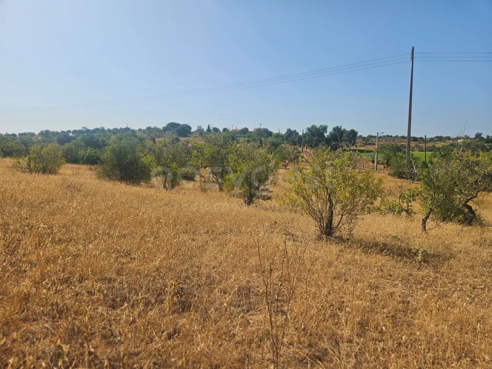 Terreno Agricola ou Rústico para Venda em Estômbar e Parchal Foto 11