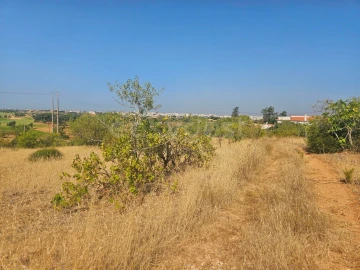 Terreno Agricola ou Rústico para Venda em Estômbar e Parchal