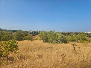 Terreno Agricola ou Rústico para Venda em Estômbar e Parchal