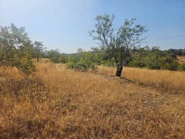 Terreno Agricola ou Rústico para Venda em Estômbar e Parchal