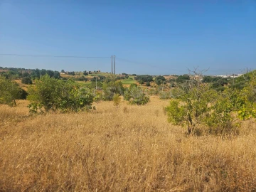 Terreno Agricola ou Rústico para Venda em Estômbar e Parchal