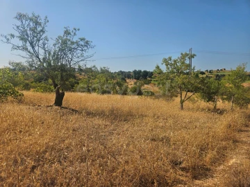 Terreno Agricola ou Rústico para Venda em Estômbar e Parchal