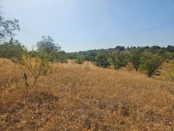 Terreno Agricola ou Rústico para Venda em Estômbar e Parchal
